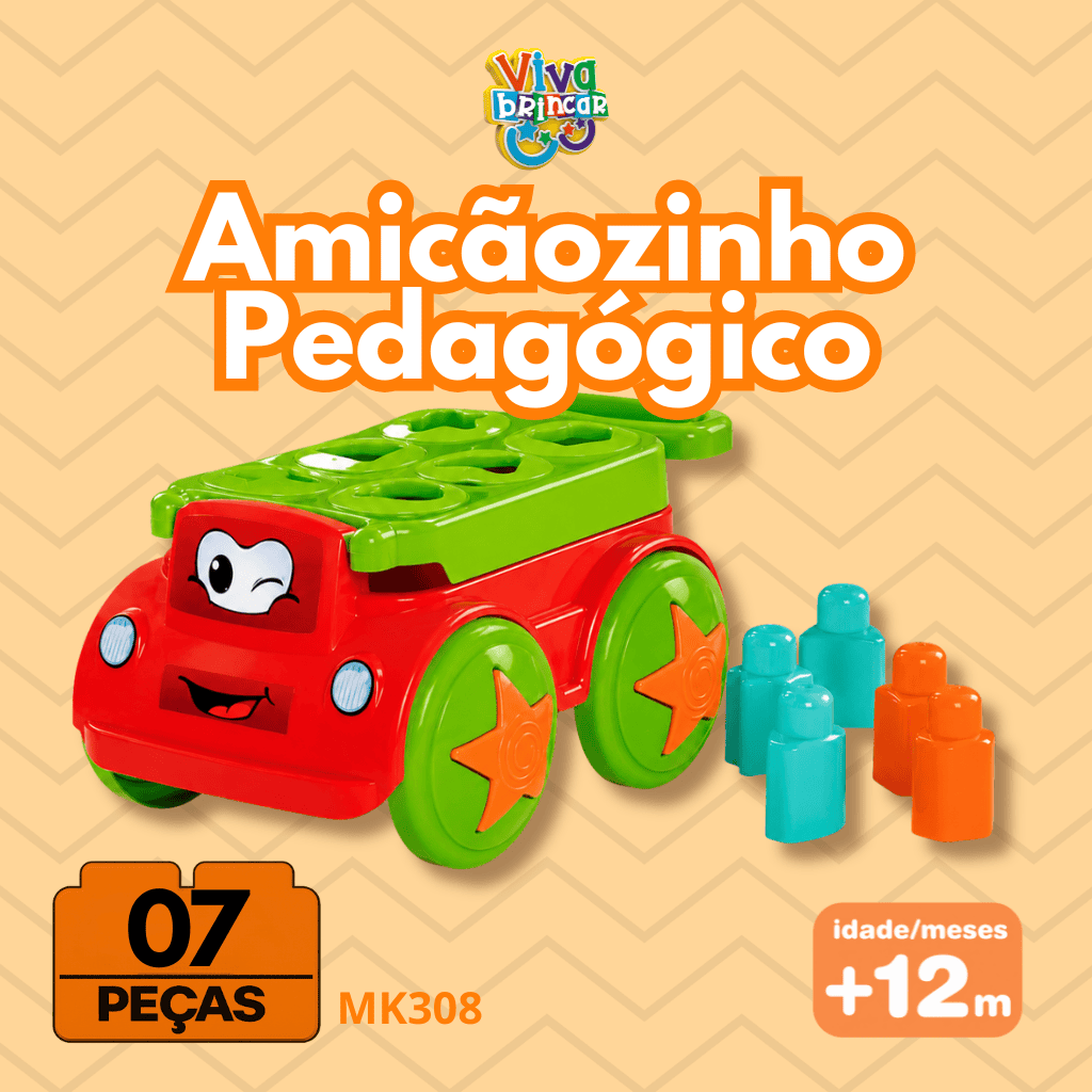 MK308 AMICAOZINHO PEDAGOGICO